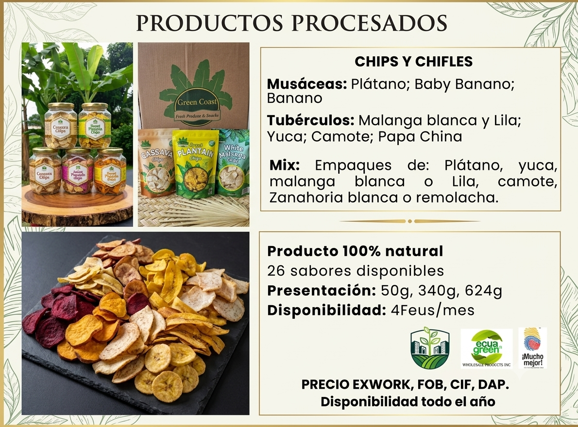 Colección II: Procesados